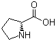 Proline